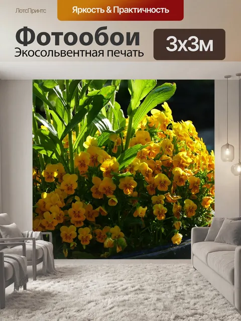Фотообои Природа