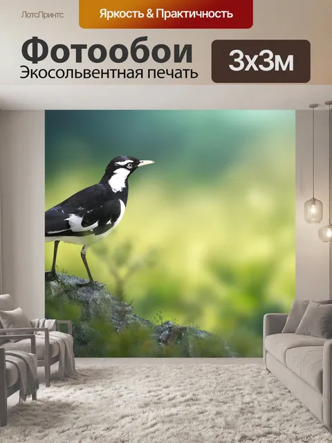 Фотообои Птица