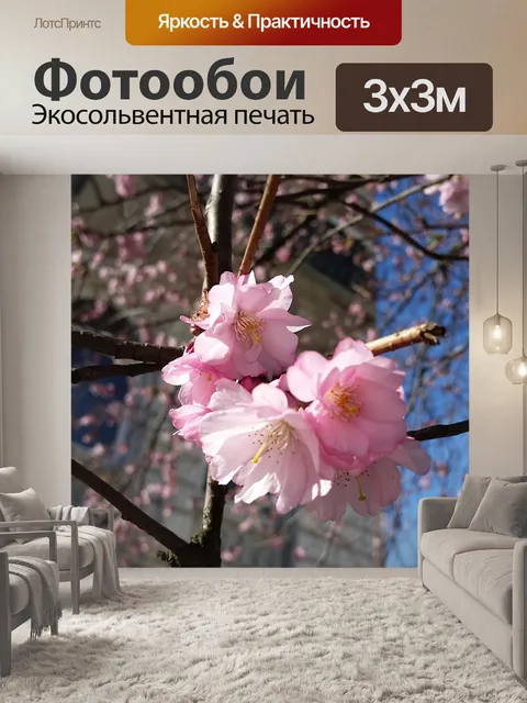 Фотообои Цветок