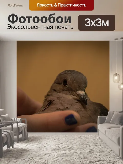 Фотообои Птицы