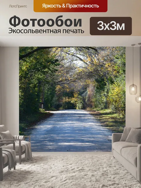 Фотообои Дорожка