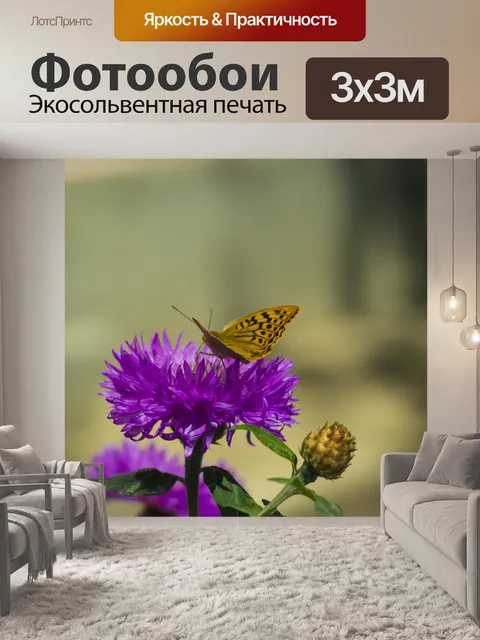 Фотообои Бабочка