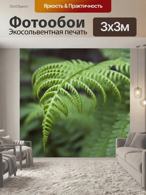 Фотообои Папоротник