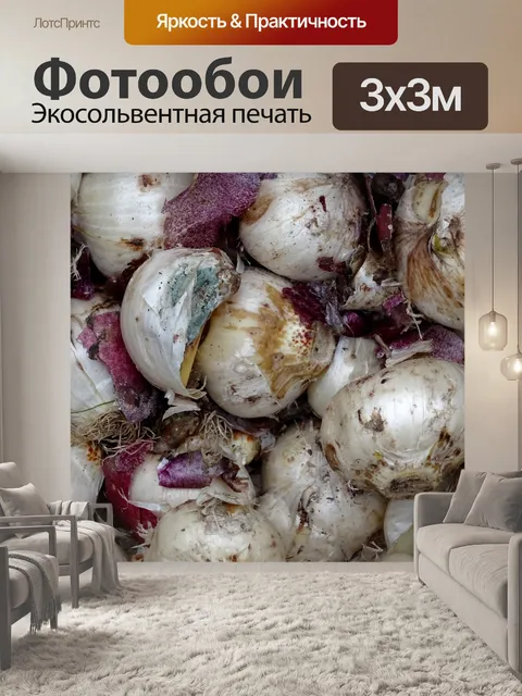 Фотообои Садовые цветочные луковицы