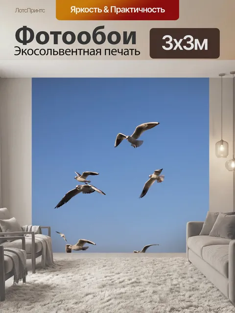 Фотообои Чайка