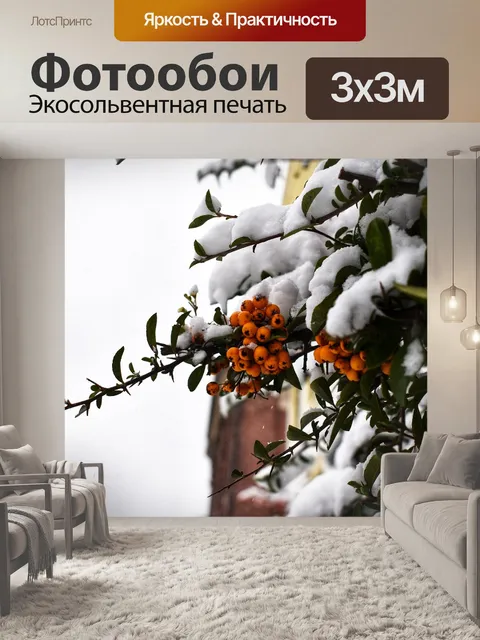 Фотообои Фрукты