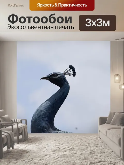 Фотообои Павлин