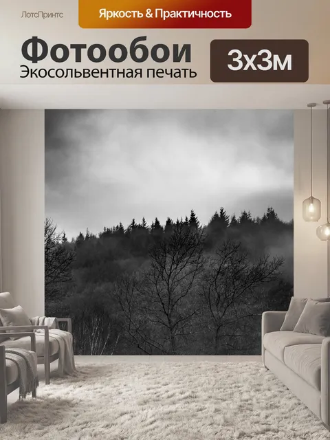Фотообои Туманный лес