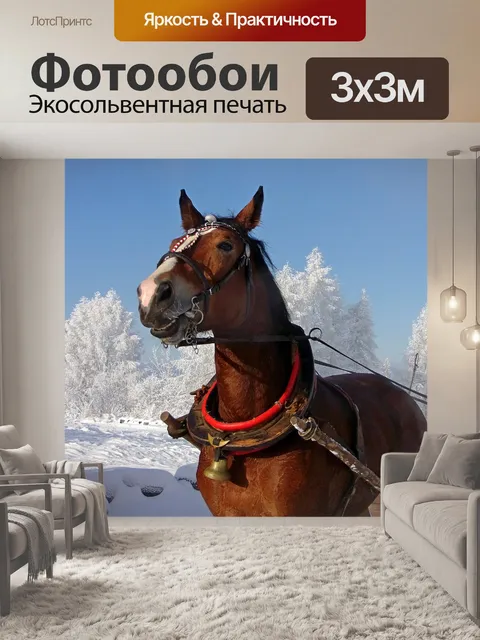 Фотообои Лошадь