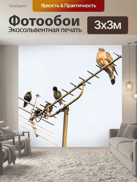 Фотообои Птицы сидят на Антенны