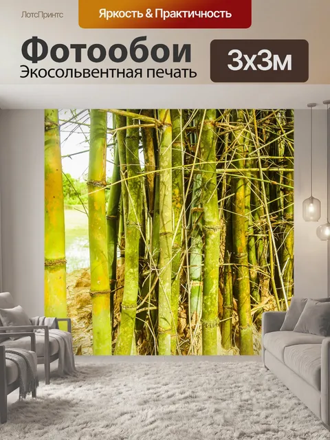 Фотообои Бамбуковый лес природа фон