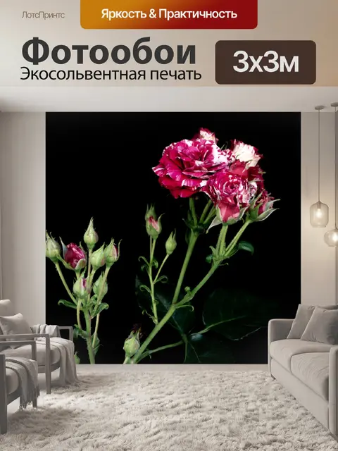 Фотообои Цветы, розы, бутоны, сад