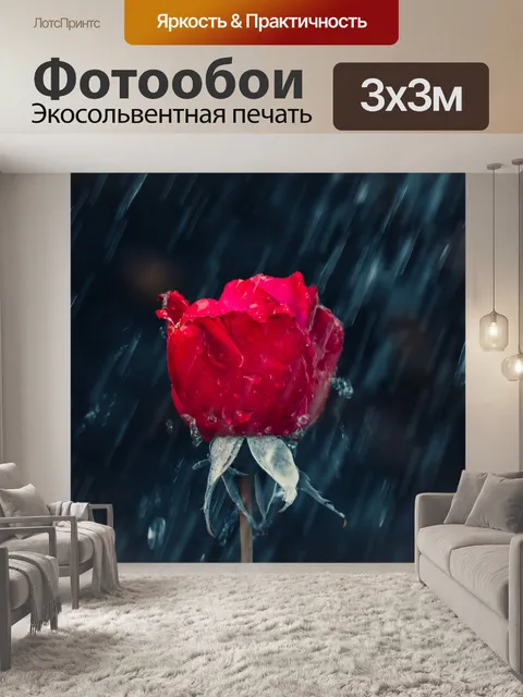 Фотообои Роза