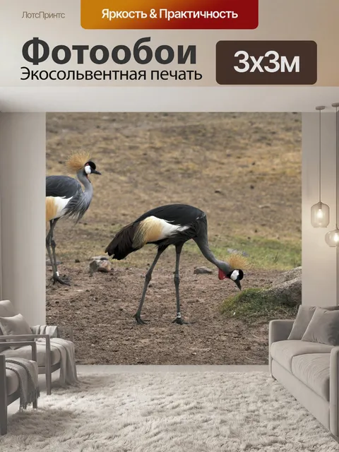 Фотообои Птицы Танзании