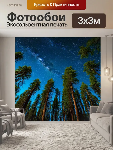 Фотообои лес с звёздным небом над высокими деревьями, создающим ощущение бесконечности