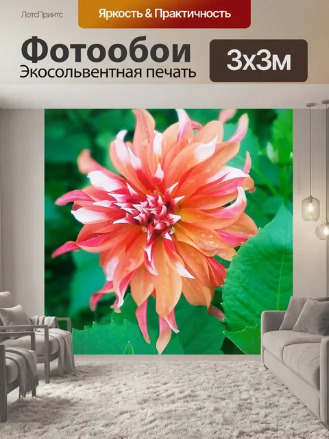 Фотообои Цветы