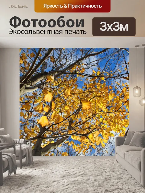 Фотообои Деревья