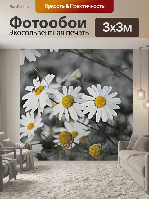 Фотообои Ромашка
