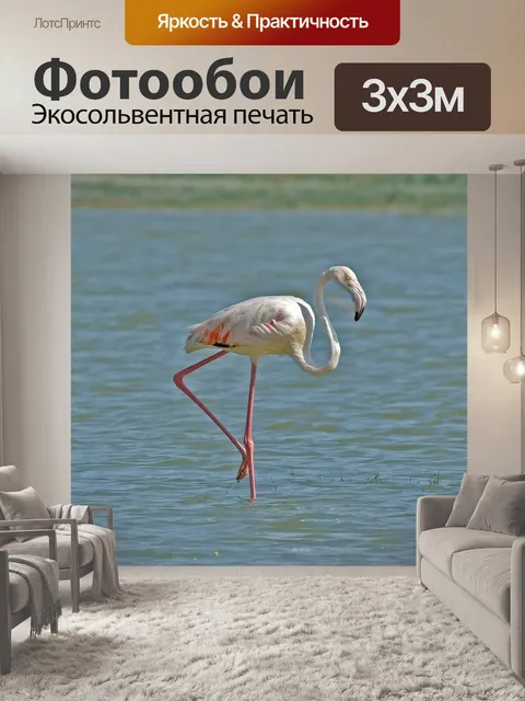 Фотообои Фламинго