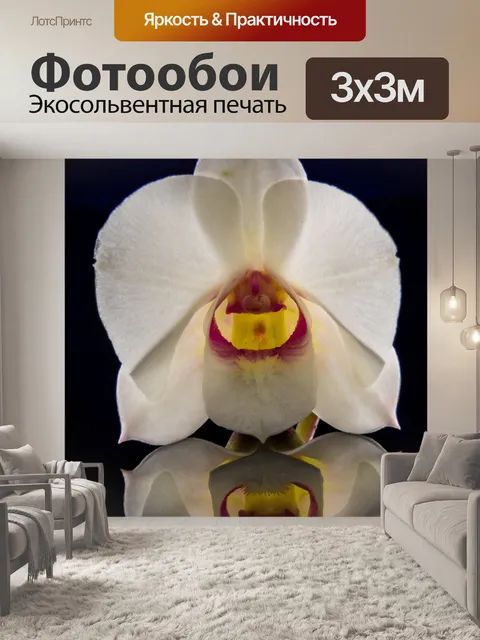 Фотообои Orchdee