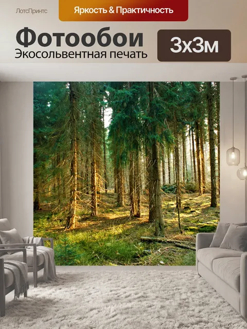 Фотообои Утро