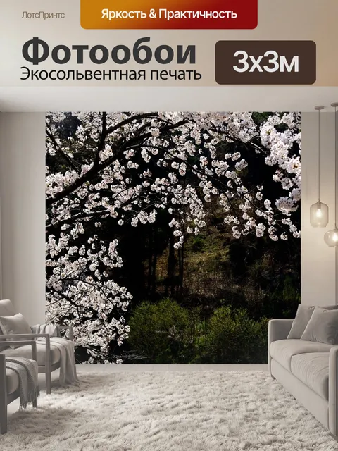 Фотообои Цветение вишни