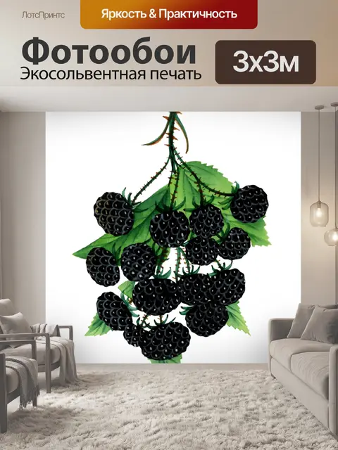 Фотообои Винтажное искусство фрукты ежевика