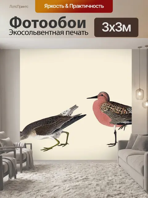 Фотообои Песочница Птицы Винтажная живопись
