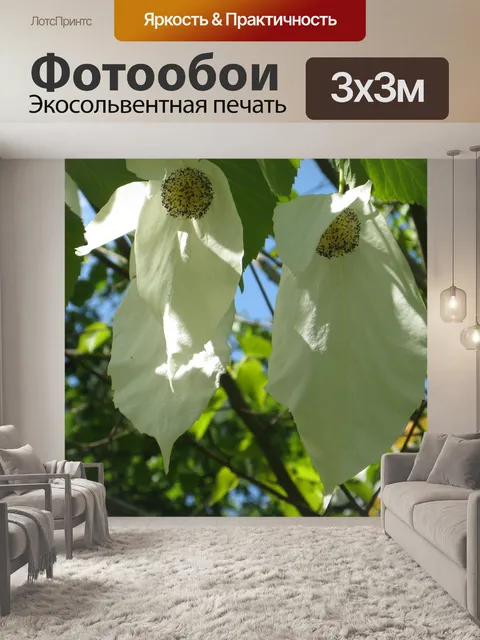Фотообои Дерево