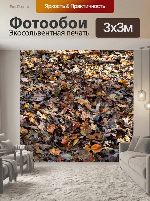 Фотообои Красочные осенние листья