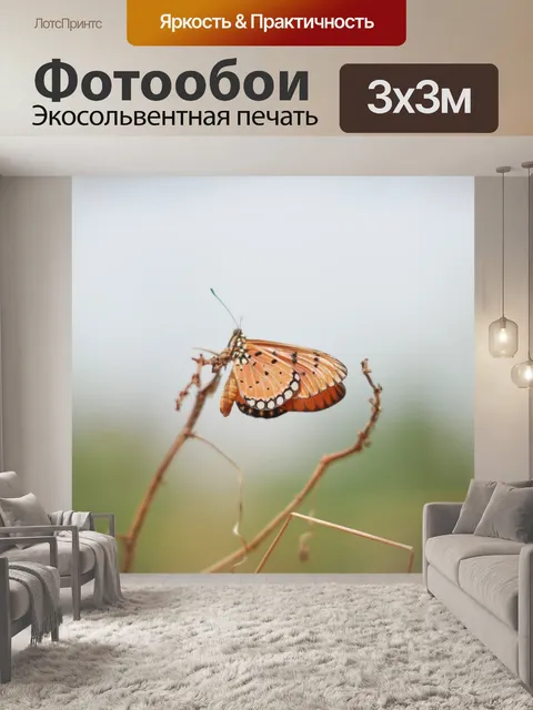 Фотообои Бабочка