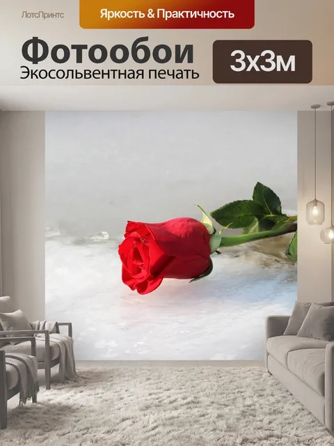 Фотообои Красная роза на льду