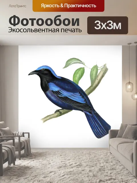 Фотообои Птица прозрачный винтаж арт