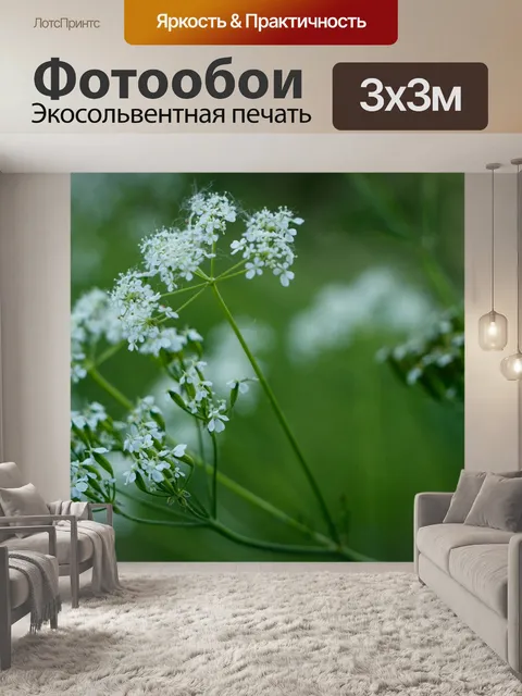 Фотообои Белый