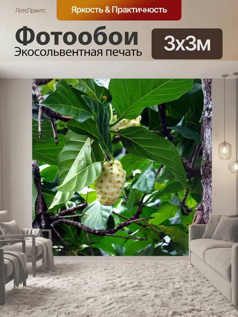Фотообои Tahitian Noni