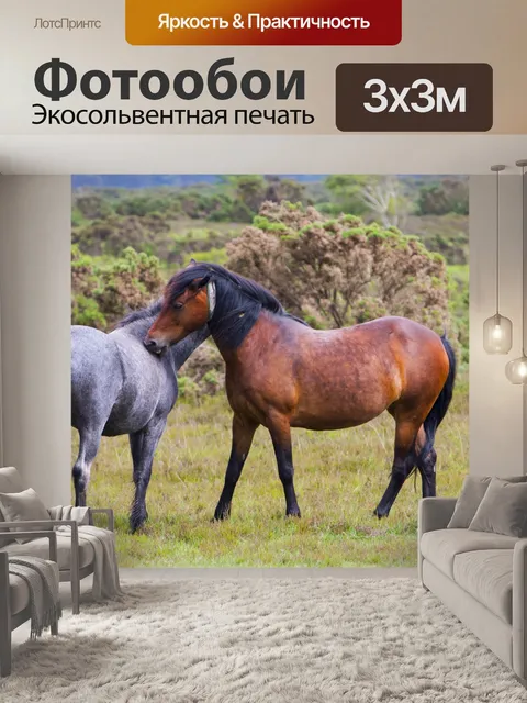 Фотообои По уходу за лошадьми