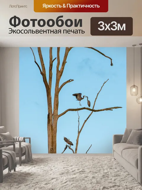 Фотообои Цапля