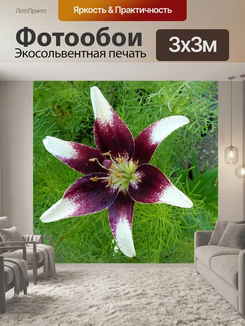 Фотообои Цветы