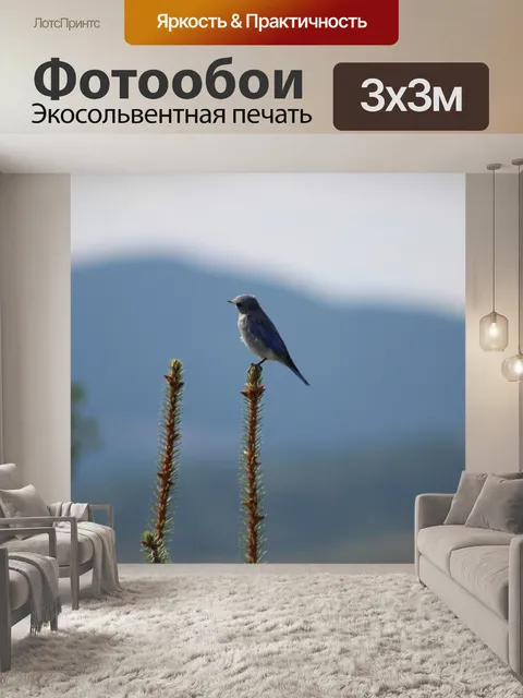 Фотообои Птица