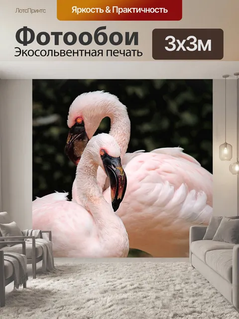 Фотообои Фламинго