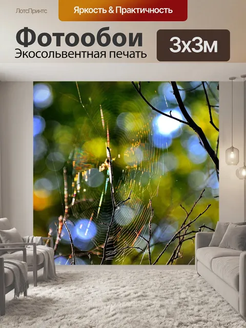 Фотообои Лес