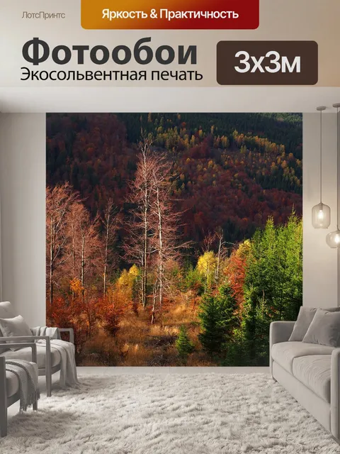 Фотообои Деревья