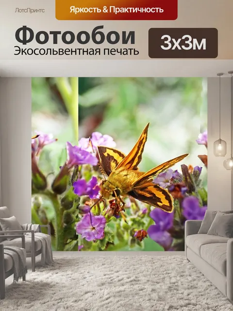 Фотообои Бабочки
