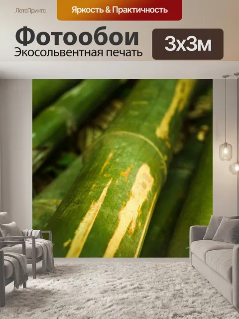 Фотообои Бамбуковый лес природа фон
