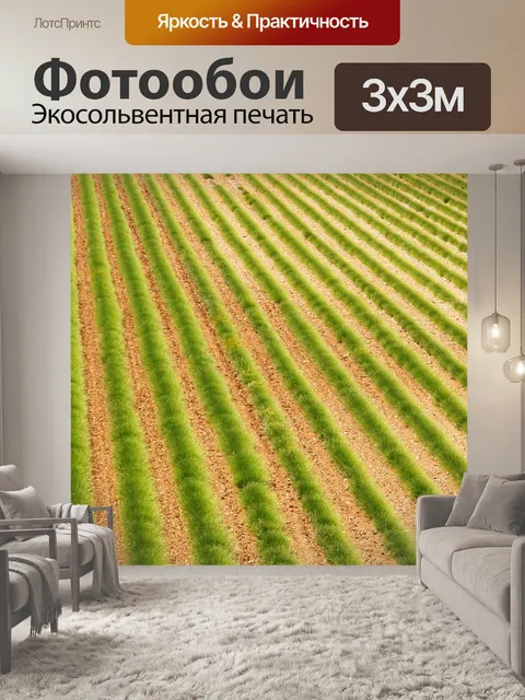 Фотообои Прованс