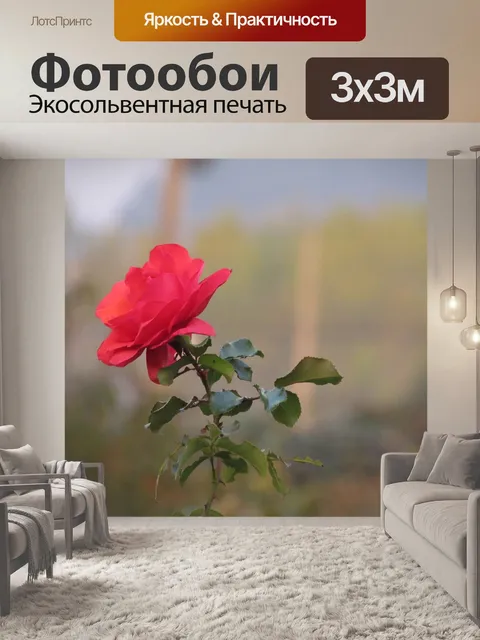 Фотообои Роза