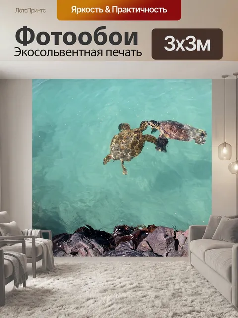 Фотообои Черепахи