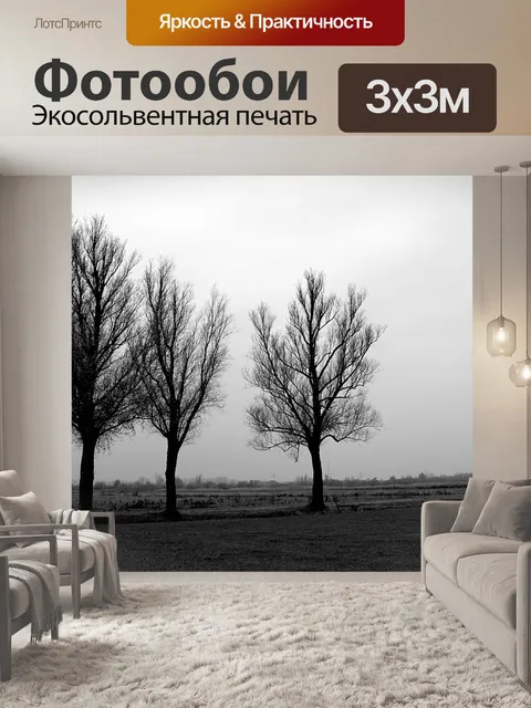 Фотообои Черное и белое