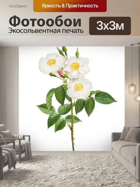Фотообои Роза цветок старинная картина