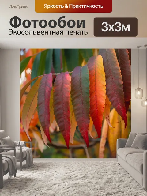 Фотообои Листья